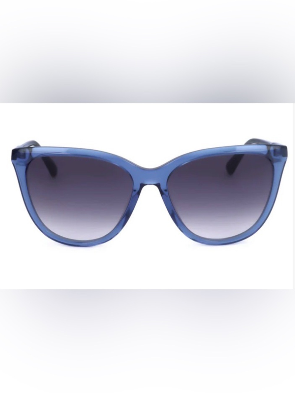 Longchamp Blue Oversized Women's Sunglasses with Case L0718S-400 #3